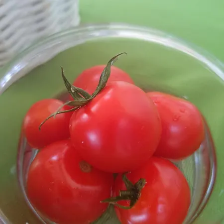 Torre Galli-dimora Di Campagna 4*