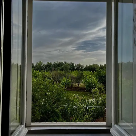 Bed and Breakfast Torre Galli-dimora Di Campagna Gasponi