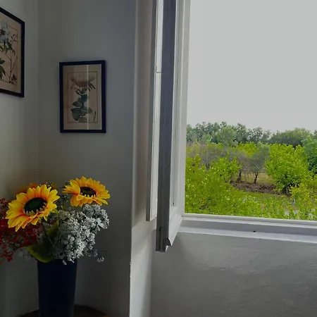 Torre Galli-dimora Di Campagna 4*