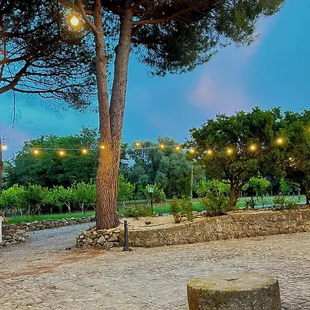 Bed and Breakfast Torre Galli-dimora Di Campagna *