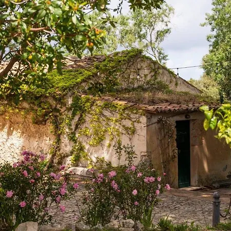 Bed and Breakfast Torre Galli-dimora Di Campagna Gasponi