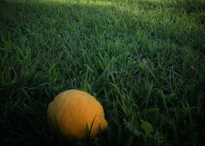 Torre Galli-dimora Di Campagna Frühstückspension